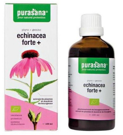 JEŻÓWKA PURPUROWA (ECHINACEA FORTE) KROPLE BIO 100 ml - PURASANA