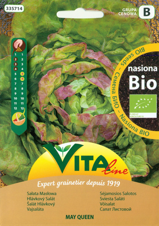 NASIONA SAŁATY MASŁOWEJ KAT.ST.(MAY QUEEN) BIO 0,5 g - VITA LINE (50600CIN0CP) (PRODUKT SEZONOWY)